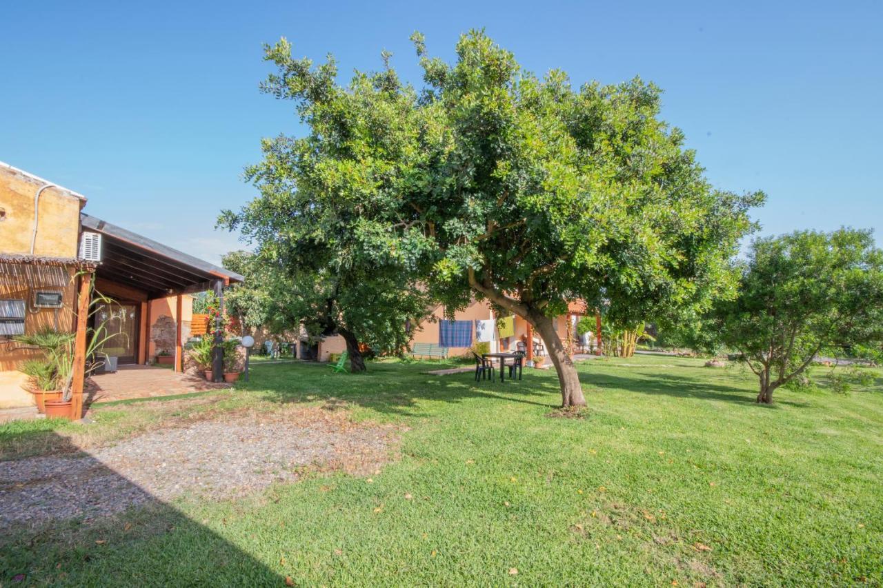 Bed and Breakfast Is Cuccus Masainas Esterno foto