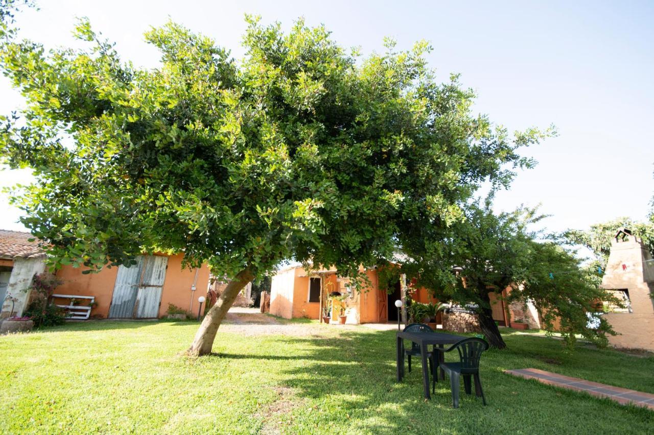 Bed and Breakfast Is Cuccus Masainas Esterno foto