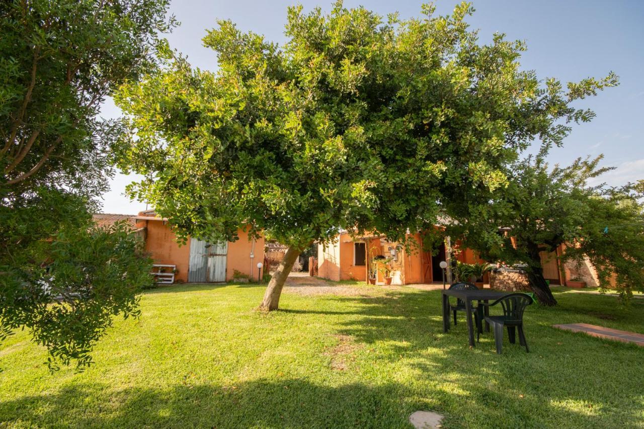 Bed and Breakfast Is Cuccus Masainas Esterno foto