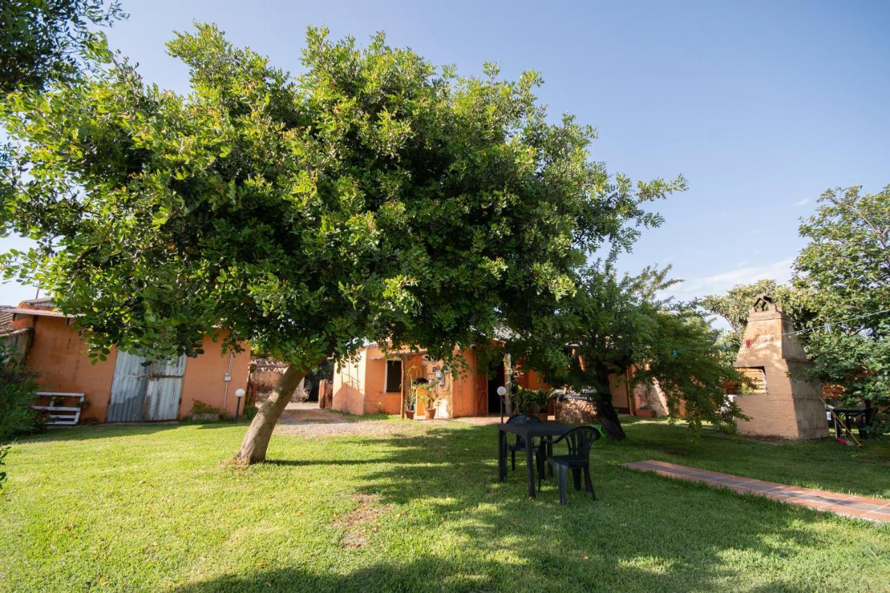 Bed and Breakfast Is Cuccus Masainas Esterno foto